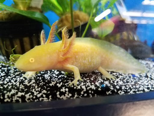 Pet Supply Store «Petco Animal Supplies», reviews and photos, 10 Sylvan St, Peabody, MA 01960, USA