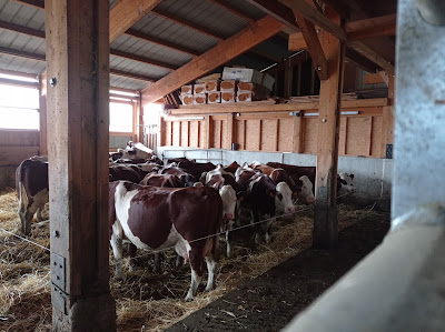 ferme Barthoux à Saint-Michel-les-Portes