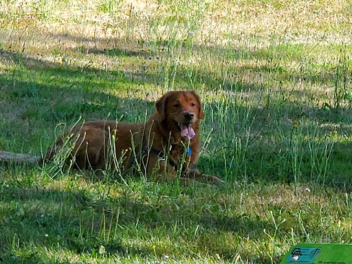 Golf Course «Kayak Point Golf Course», reviews and photos, 15711 Marine Drive NE, Stanwood, WA 98292, USA