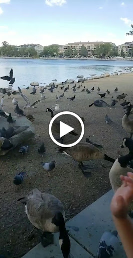 Nature Preserve «Virginia Lake», reviews and photos, 1980 Lakeside Dr, Reno, NV 89509, USA