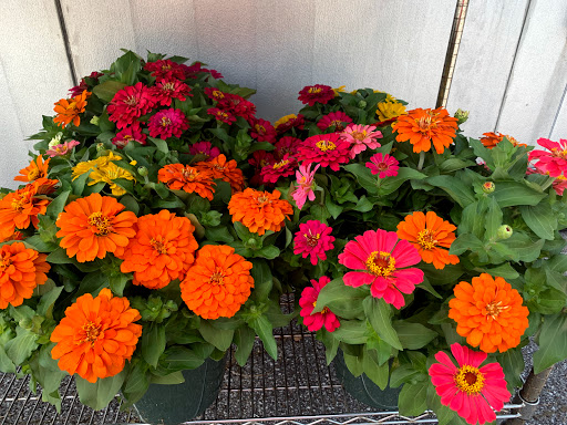 Florist «Flowers By Louis Hody», reviews and photos, 99 Seaboard Ln, Brentwood, TN 37027, USA