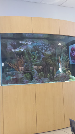 Chevrolet Dealer «Gunn Chevrolet», reviews and photos, 16550 I-35, Selma, TX 78154, USA