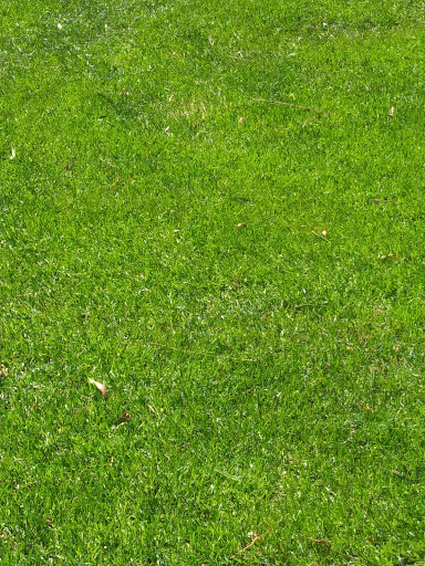 Golf Course «General Old Golf Course», reviews and photos, 16700 Village W Dr, March Air Reserve Base, CA 92518, USA