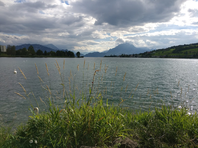 Küssnacht am Rigi, Seilbahn - Andere