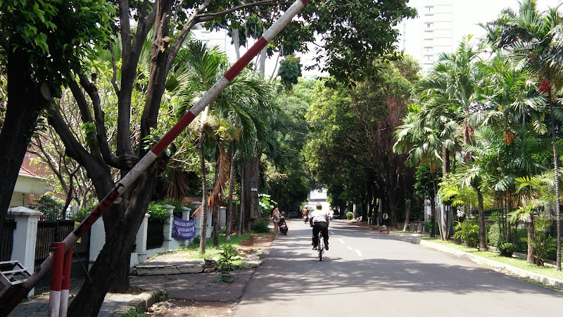 Menjelajahi 8 Kebun Raya Tersembunyi di Kota Jakarta Selatan