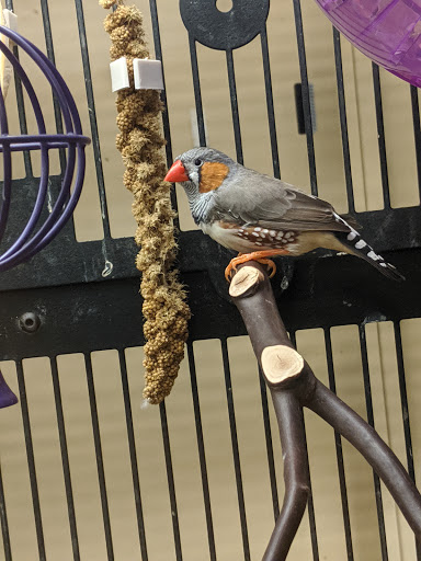 Pet Supply Store «PetSmart», reviews and photos, 1050 McKinley Pl Dr #30, San Marcos, TX 78666, USA