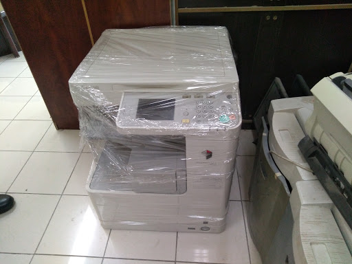 Dolphinالدلفين