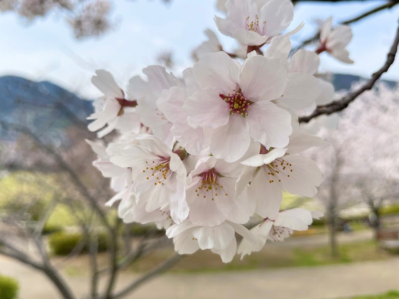 ふれあい広場