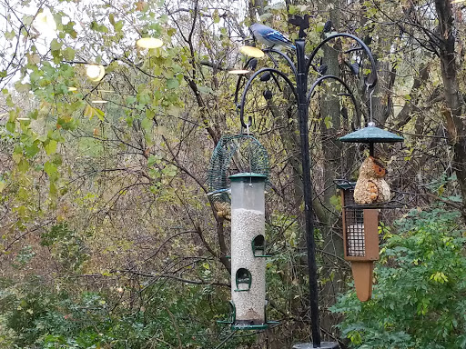 Sterling Heights Nature Center image 3