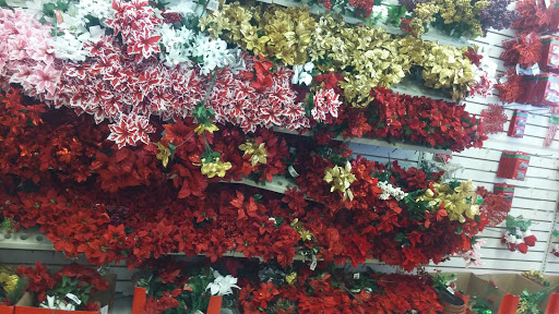 Dollar Store «Dollar Tree», reviews and photos, 9055 Biscayne Blvd, Miami Shores, FL 33138, USA