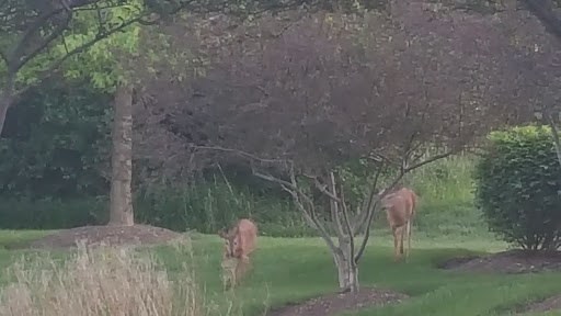 Park «Heritage Oaks Park», reviews and photos, 310 N Fairfield Rd, Hawthorn Woods, IL 60047, USA