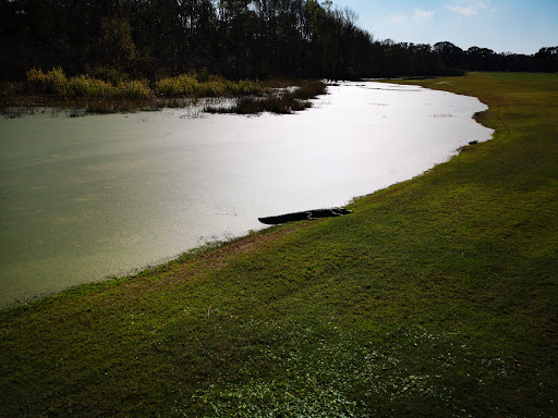 Golf Club «Oak Island Golf Club», reviews and photos, 928 Caswell Beach Rd, Oak Island, NC 28465, USA