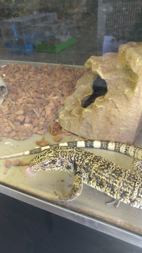 Pet Store «Critters & Co Pet Center», reviews and photos, 11042 WA-525, Clinton, WA 98236, USA