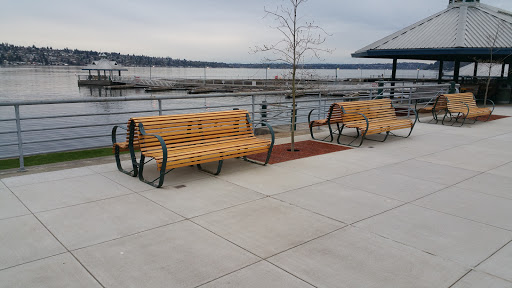 Park «Lake Boren Park», reviews and photos, 13058 SE 84th Way, Newcastle, WA 98056, USA