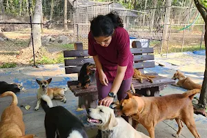 PAWS Thrissur Animal Shelter image