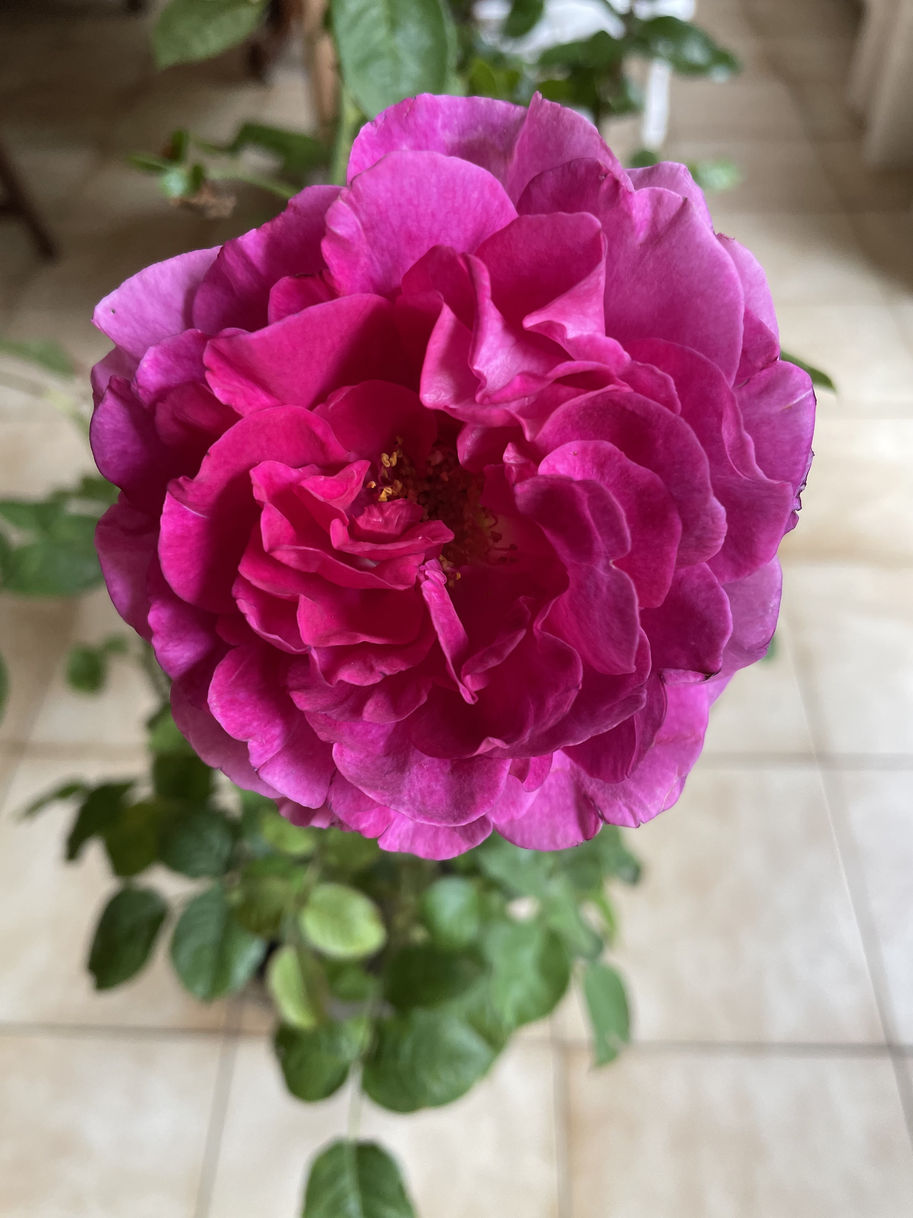 Photo n° 2 de l'avis de Dominique.o fait le 12/06/2022 à 15:55