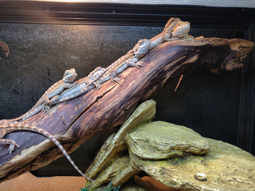 Pet Supply Store «PetSmart», reviews and photos, 20 W University Pkwy, Orem, UT 84058, USA