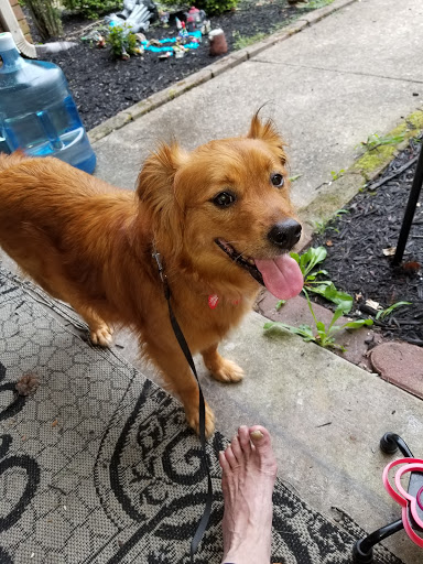 Healthy Petz Veterinary Hospital, LLC image