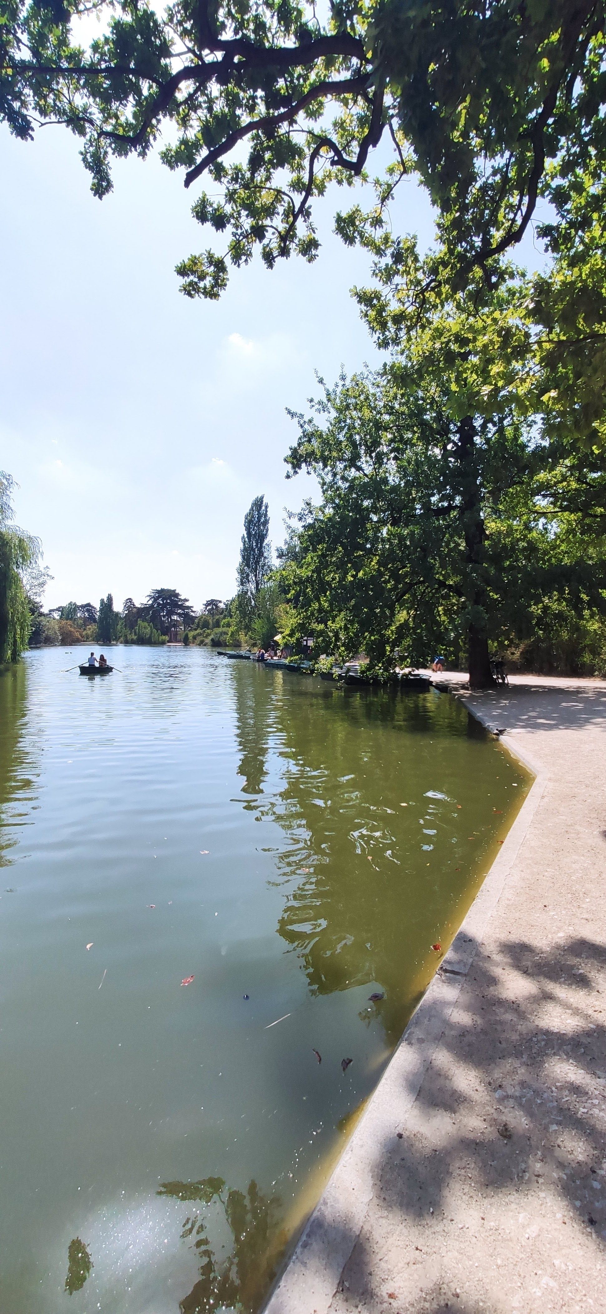 Photo n° 8 de l'avis de reg.a fait le 10/08/2020 à 08:51