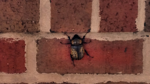 Liquor Store «Abd Liquors Inc», reviews and photos, 110 W Dares Beach Rd, Prince Frederick, MD 20678, USA