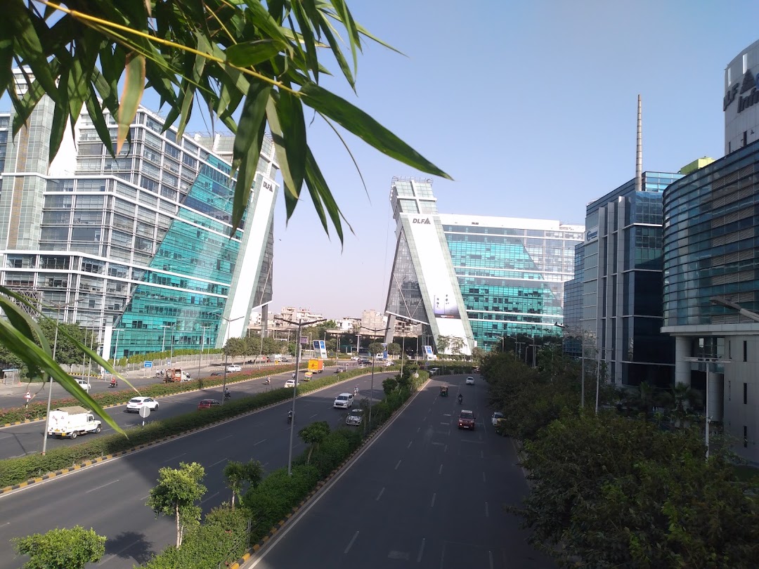DLF