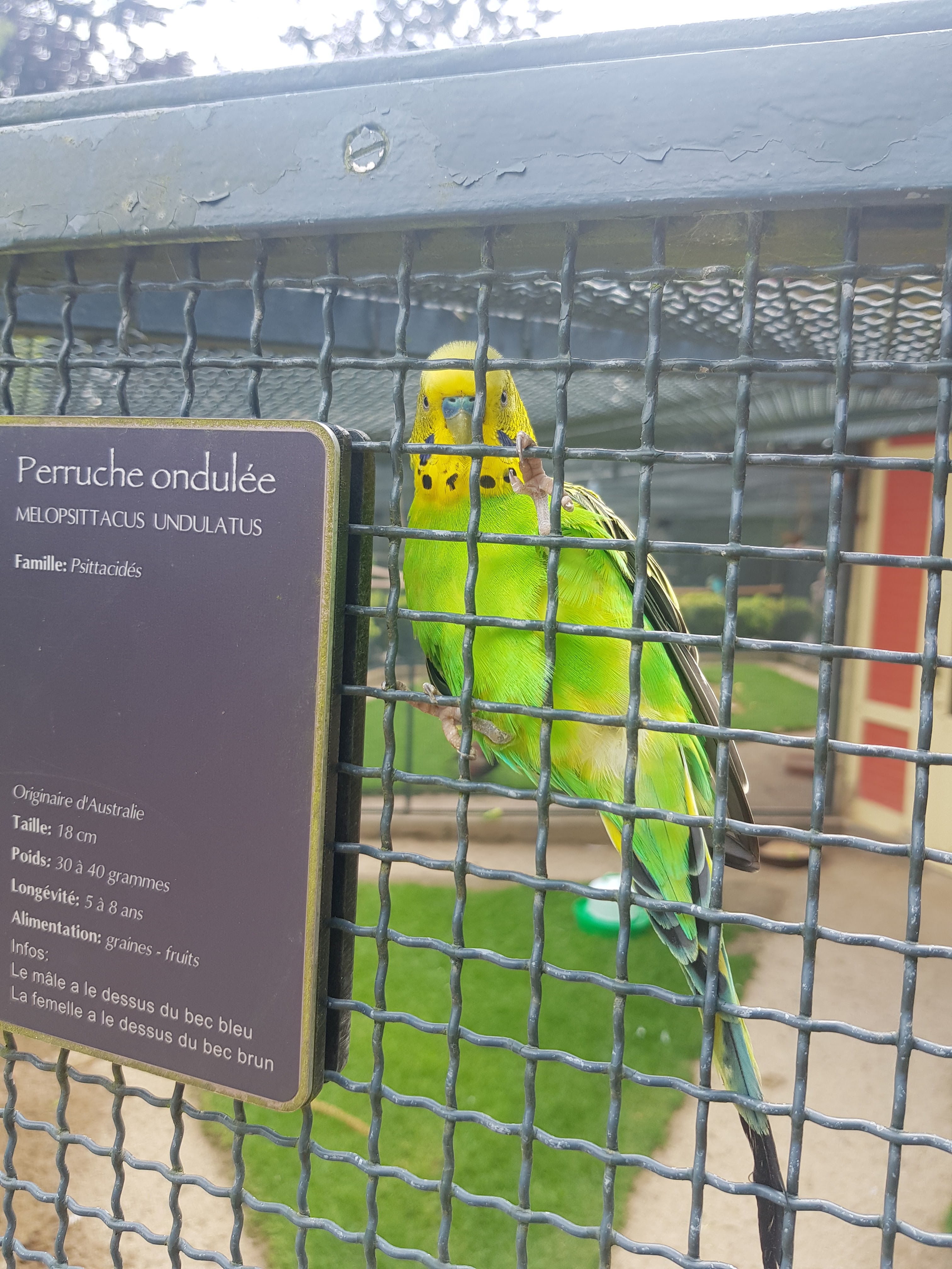 Photo n° 2 de l'avis de Thierry.e fait le 31/07/2021 à 18:08