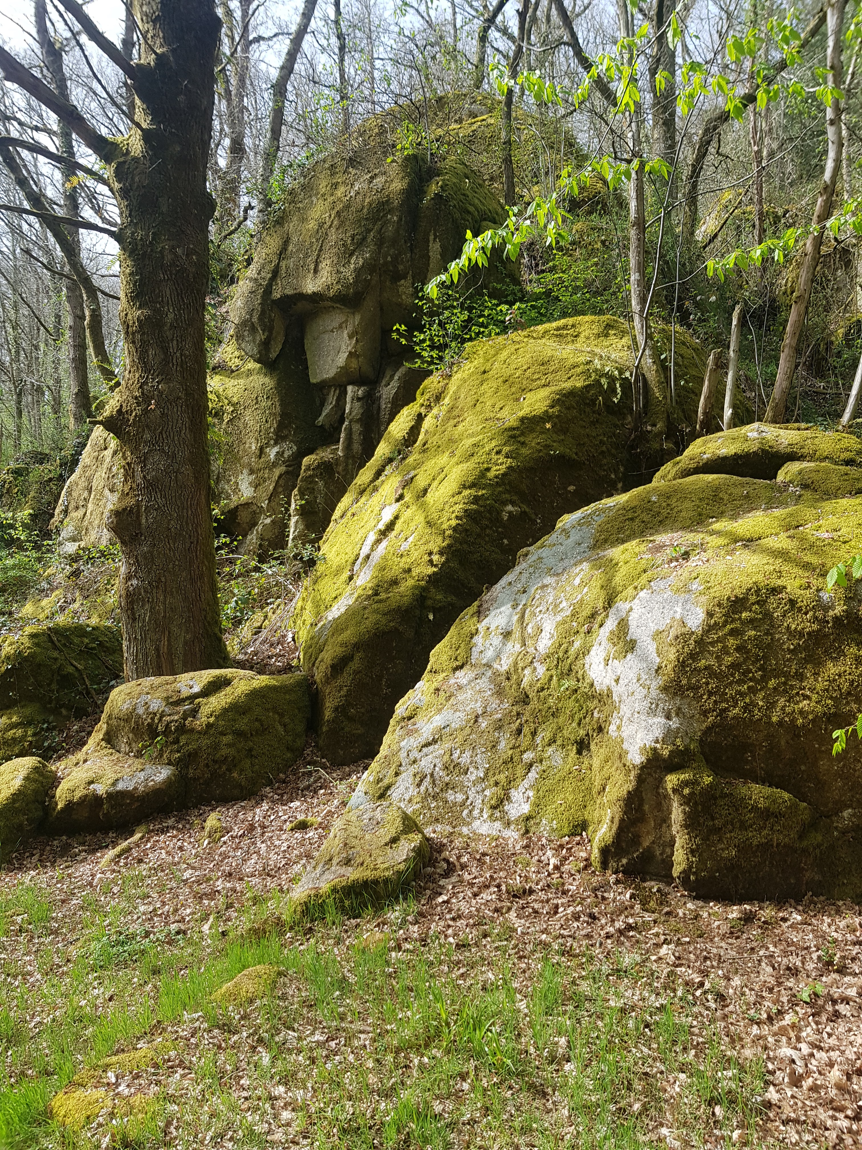 Photo n° 17 de l'avis de zaz.o fait le 24/04/2019 à 04:46