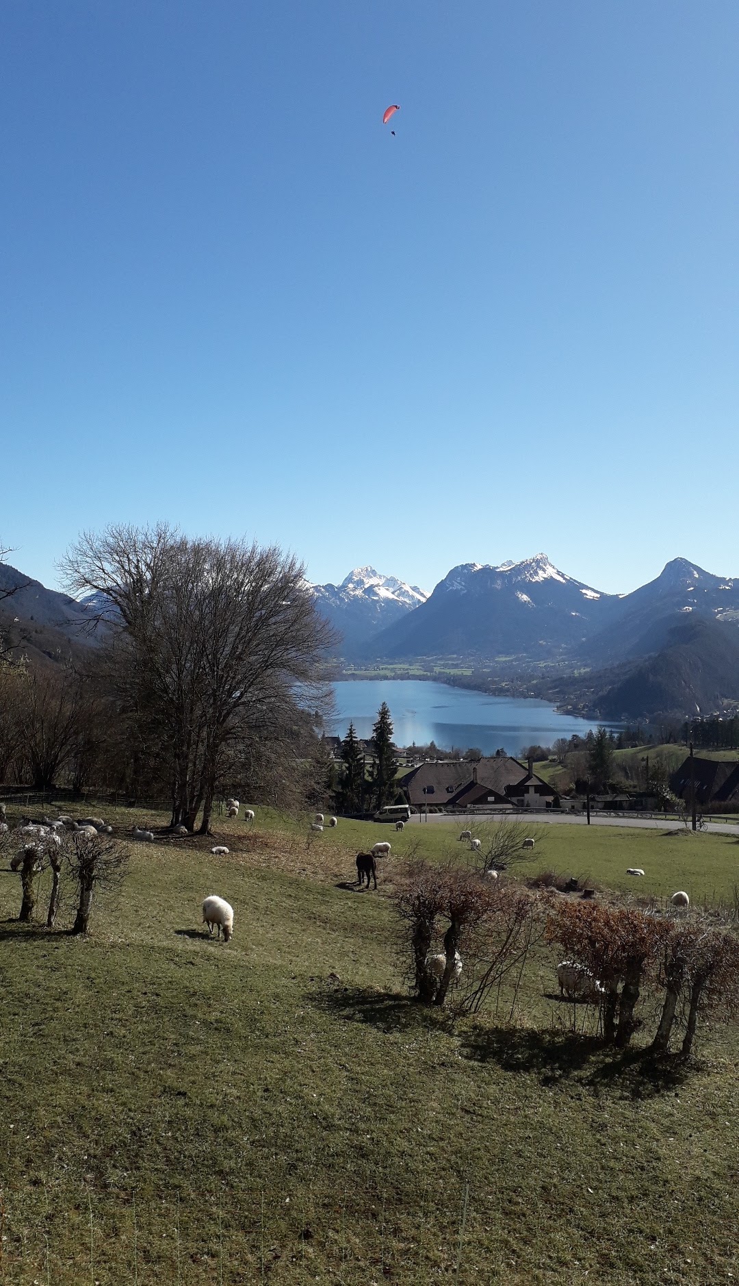 Photo n° 5 de l'avis de Laëtitia.A fait le 18/03/2019 à 11:39