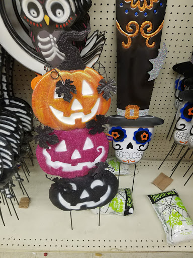 Big Lots, 7215 W Dempster St, Niles, IL 60714, USA, 