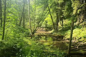 Naturreservat Mariedalsån image