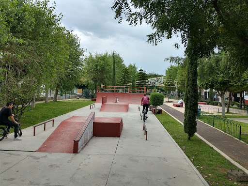 triangulo skatepark