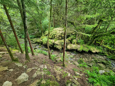 Cascade de la Touviere à Saint-Martin-du-Fresne
