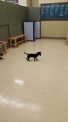 Pet Supply Store «Petco Animal Supplies», reviews and photos, 300 Quaker Ln #3, Warwick, RI 02886, USA
