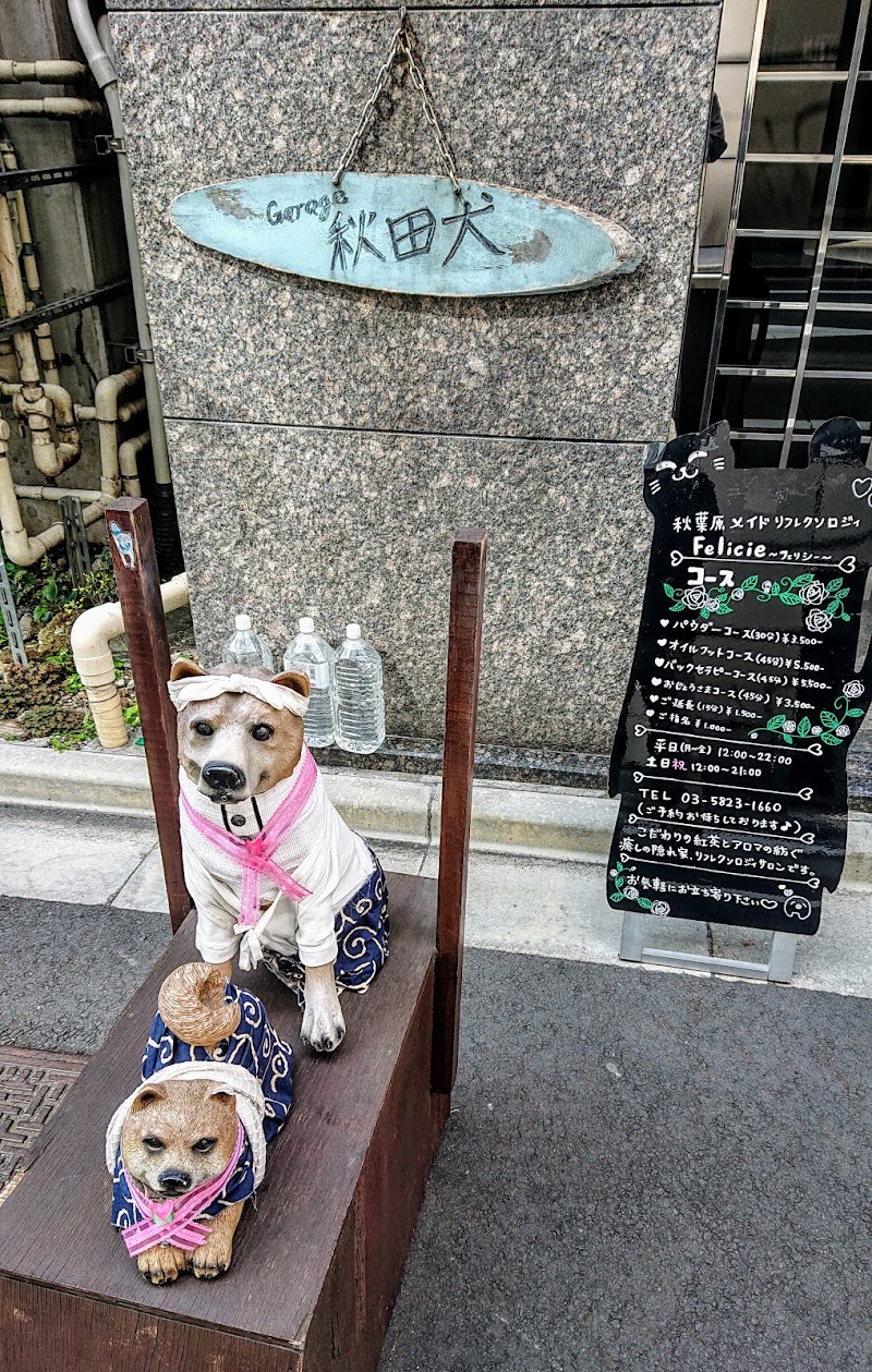 秋田 犬 ライブ Jpirasutotavjib