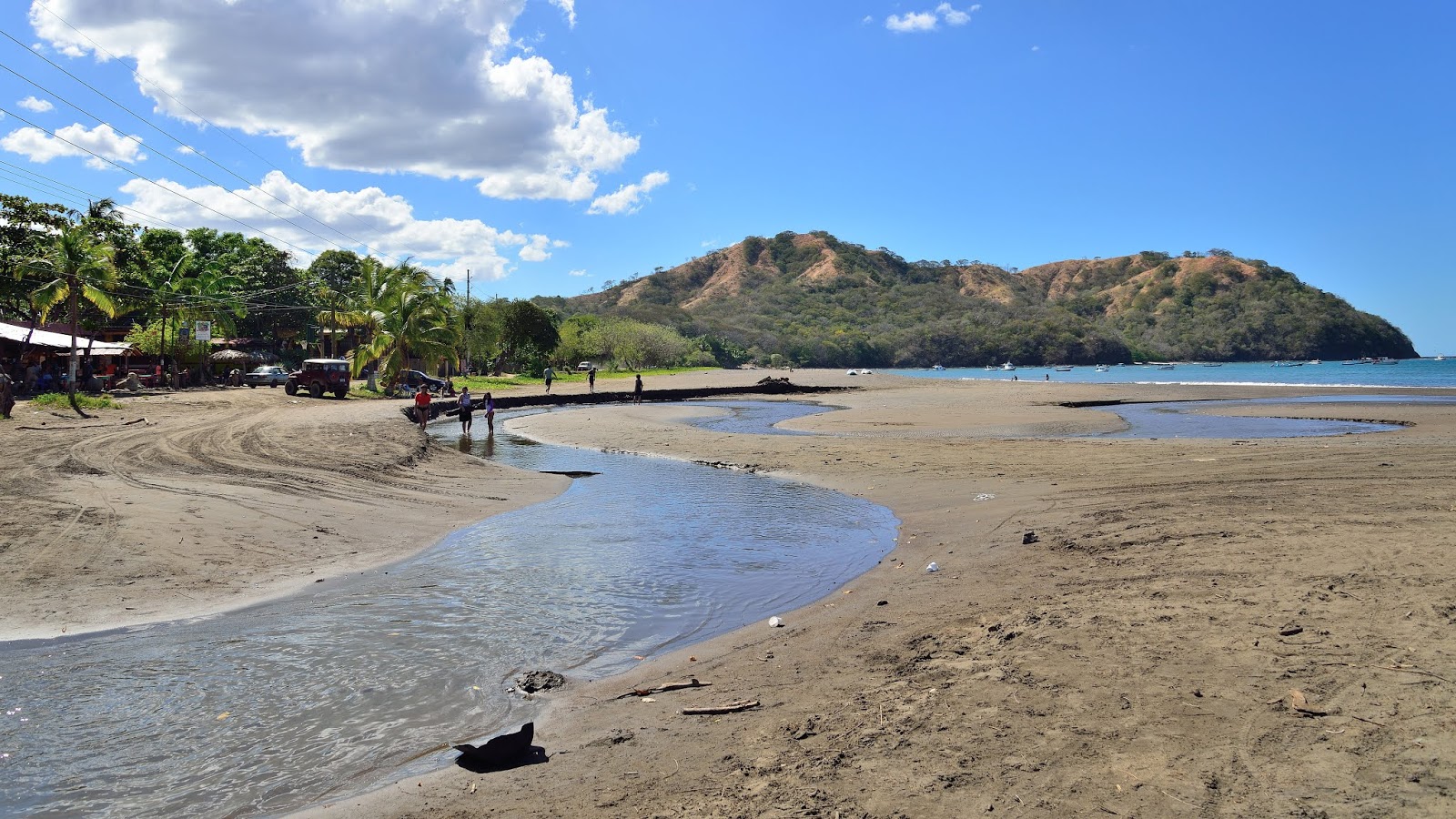 Photo de Coconut Beach avec baie longue