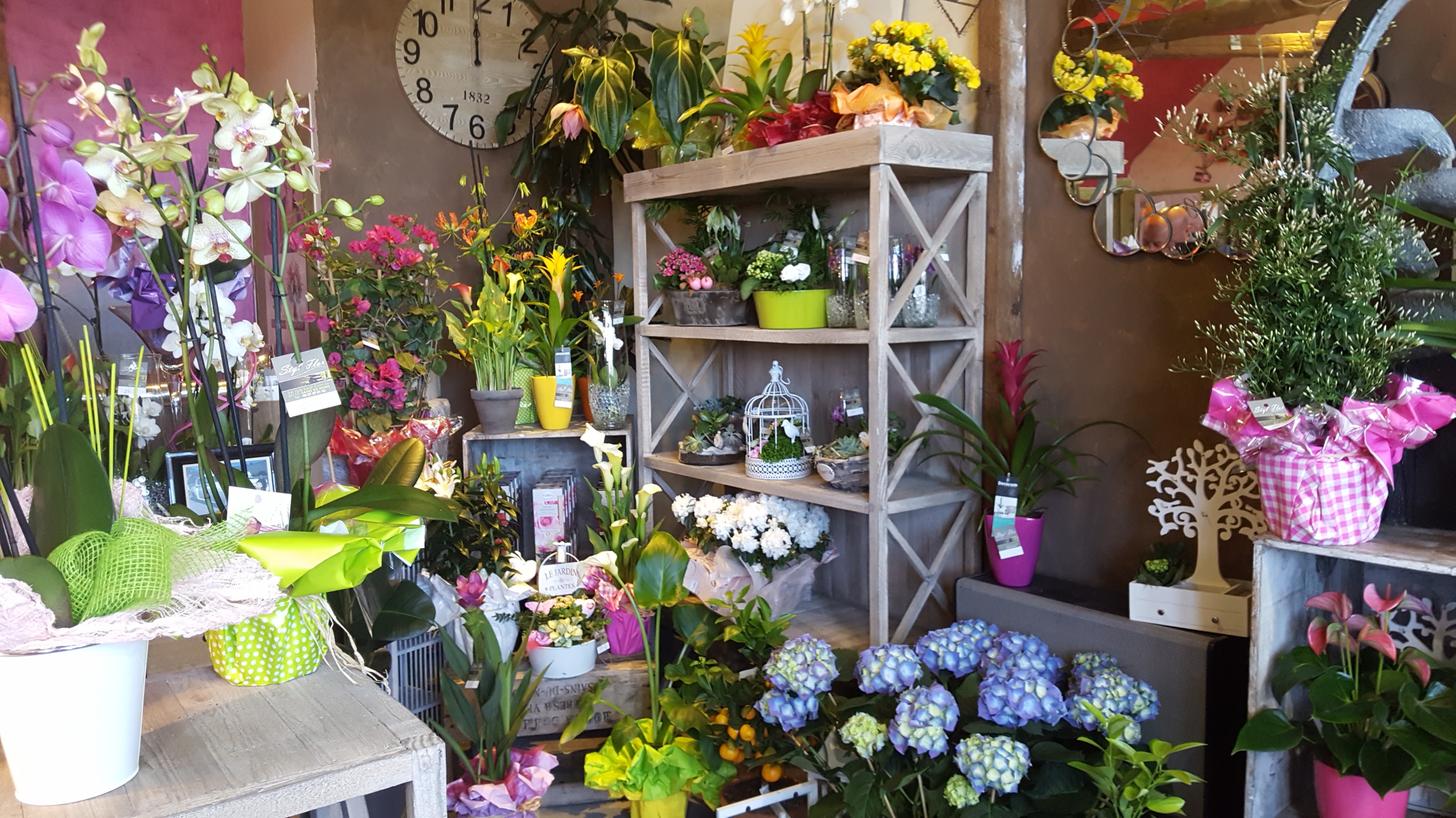 Photo n° 3 de l'avis de Philippe.R fait le 25/05/2017 à 10:20