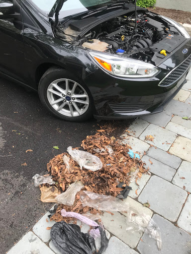 Used Car Dealer «Millennium Auto Sales», reviews and photos, 3250 N Cicero Ave, Chicago, IL 60641, USA