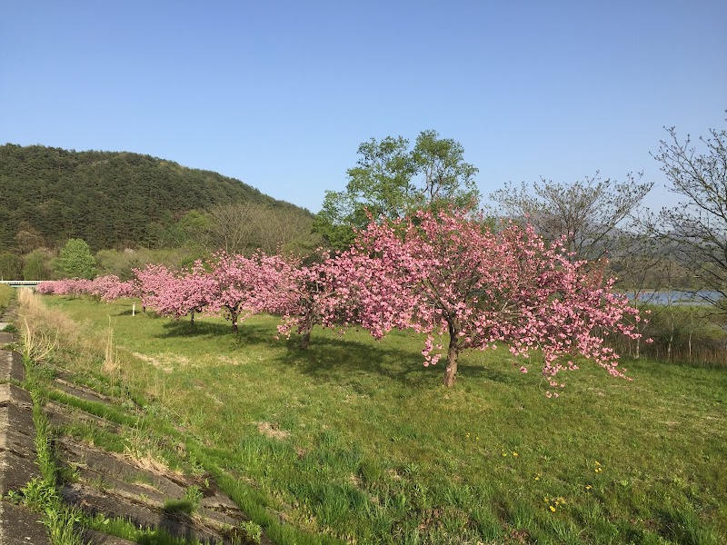 黒沢川水辺園地