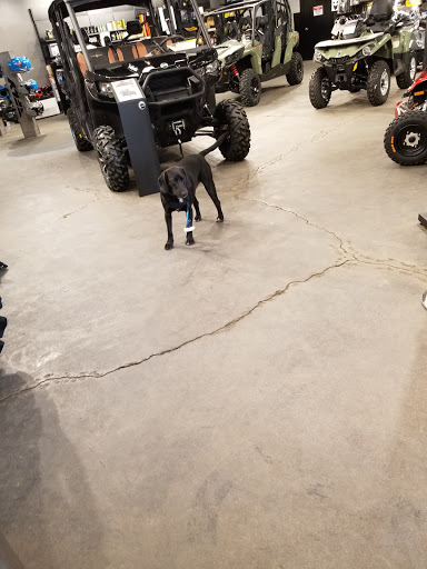 Motorsports Store «River Raisin Powersports», reviews and photos, 1065 N Telegraph Rd, Monroe, MI 48162, USA