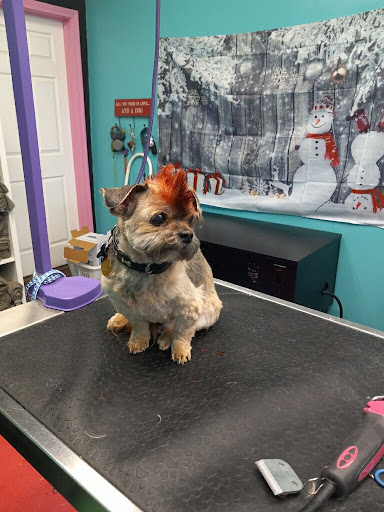 Miss Joni's Dog Grooming & More
