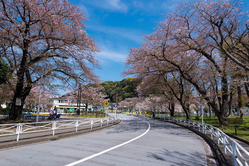 根岸公園 交通公園 神奈川県横須賀市根岸町 公園 公園 グルコミ