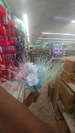 Dollar Store «Dollar Tree», reviews and photos, 1537 Bethlehem Pike, Hatfield, PA 19440, USA