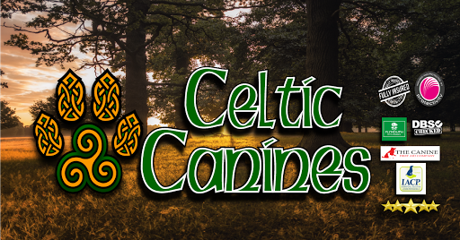 Celtic Canines - Dog Training, Walking, Fitness + Health