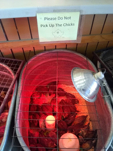 Pet Supply Store «Western Ranch & Pet Supply», reviews and photos, 103 Aegean Way, Vacaville, CA 95687, USA