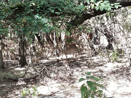 Nature Preserve «Stillhouse Hollow Nature Preserve», reviews and photos, 7810 Sterling Dr, Austin, TX 78759, USA