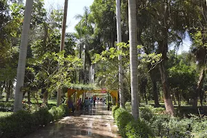 Aswan Botanical Garden image