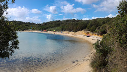 Le Piscine Beach'in fotoğrafı vahşi alan