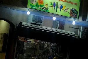 عبدالكريم لطيور واسماك الزينه( حدائق الطيور ) image