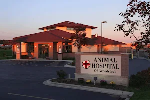 Animal Hospital of Woodstock image
