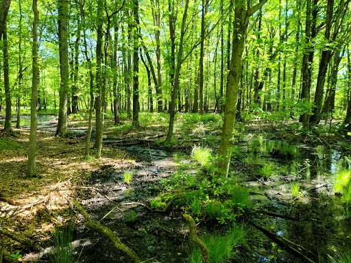 Nature Preserve «Tom S Cooperrider-Kent Bog State Nature Preserve», reviews and photos, 1028 Meloy Rd, Kent, OH 44240, USA